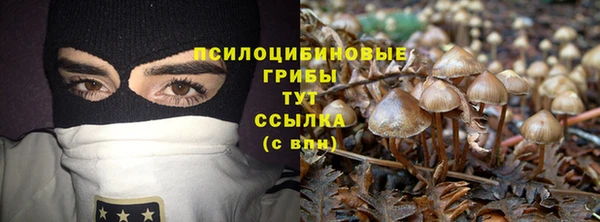 гашик Семёнов