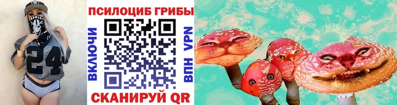 Псилоцибиновые грибы Cubensis Кодинск