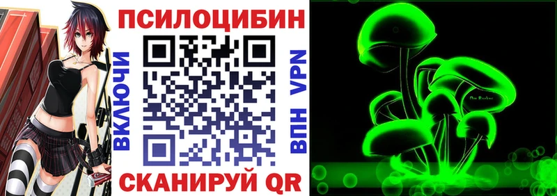 как найти   ссылка на мегу вход  Галлюциногенные грибы Psilocybine cubensis  Кодинск 